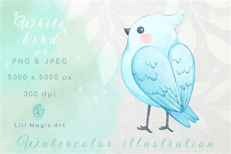 Cute Watercolor Bird PNG Clipart Graphic by Lili.Magic.Art · Creative Fabrica