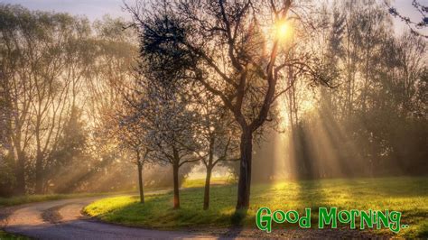 Good Morning Wallpapers Free Download