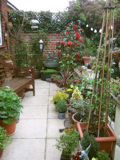 Potted Plants for an Interesting Patio | Garden Caine and Son