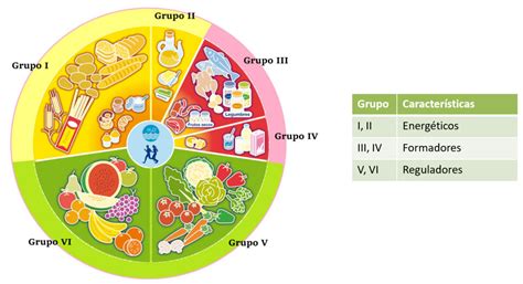 La rueda de los alimentos: Tipos de alimentos y sus funciones - Carmen Figueroa