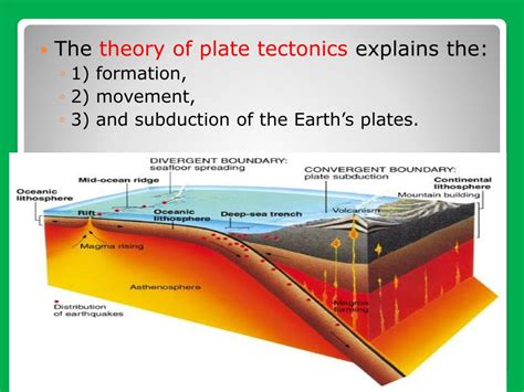 PPT - The Theory of Plate Tectonics PowerPoint Presentation, free download - ID:6805590