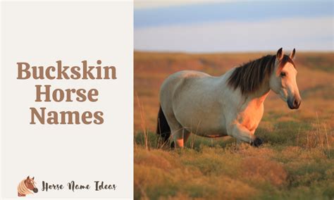 400+ Buckskin Horse Names - HorseNameIdeas.com