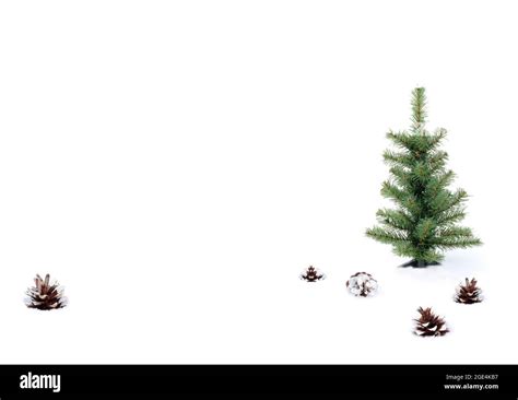 Christmas tree on a white background Stock Photo - Alamy