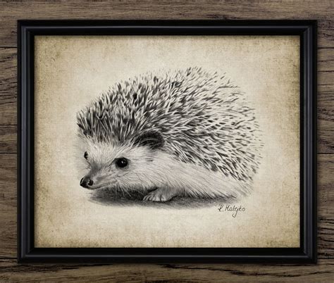 Hedgehog Pencil Drawing Printable Hedgehog Wall Art Hedgehog - Etsy