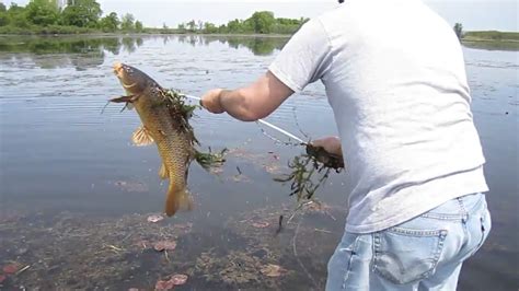 Bow-fishing Carp on Lake Onalaska, WI - YouTube