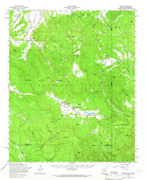 Alpine, Arizona 1958 (1966) USGS Old Topo Map Reprint 15x15 AZ Quad 314311 - OLD MAPS