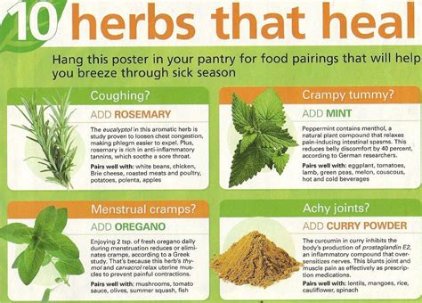 10 Herbs That Heal Through Flu Season Herbs For Health, Health Tips, Health And Wellness, Health ...