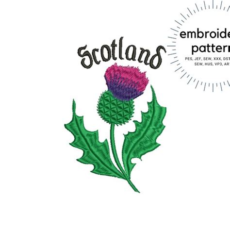 Scottish Thistle Embroidery Design Instant Download - Etsy