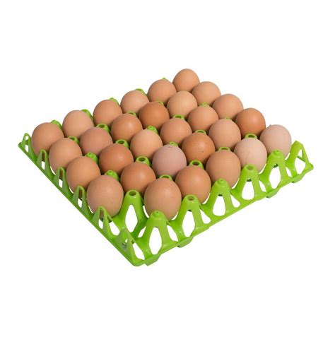 Washable Plastic Egg Tray (30 Eggs)