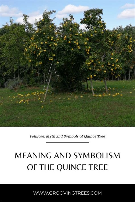 Rowan tree symbolism and meanings – Artofit