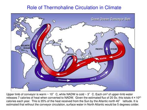 PPT - Thermohaline Circulation PowerPoint Presentation, free download - ID:1454019