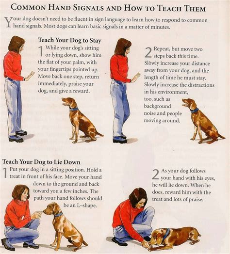 Printable Dog Training Tips