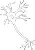 Neuron - Black And White Clip Art at Clker.com - vector clip art online ...