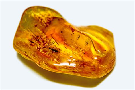 Amber Gemstone