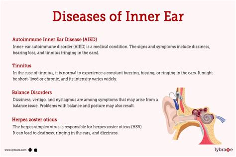 Inner ear (Human Anatomy): Image, Functions, Diseases and Treatments