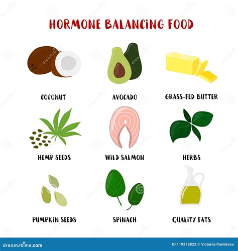 Comida Para El Sistema De Equilibrio De La Hormona Aislado En Blanco Historieta Del Vector ...