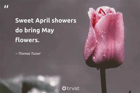 April Quotes And Sayings For Calendars