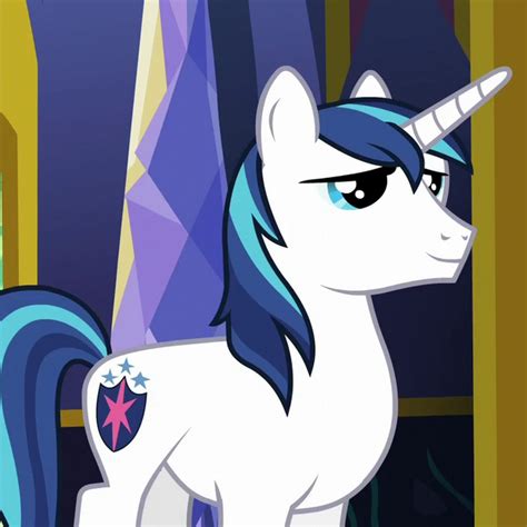 Shining Armor (Friendship is Magic) - Equestripedia