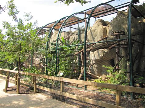 Houston Zoo 2010 - Carnivore enclosures - ZooChat