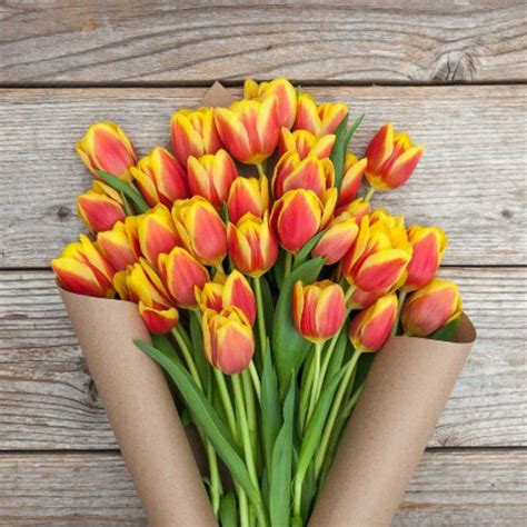 Red and Yellow Striped Tulip Bouquet - The Bouqs Co.