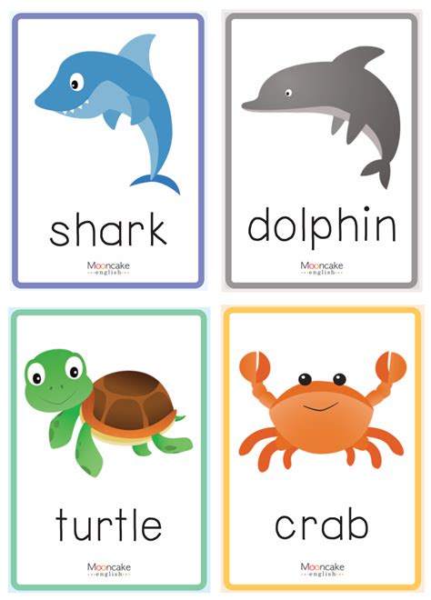 Sea Animals List Of 30 Popular Sea Animals With Esl Pictures