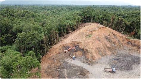 Why are we still failing to stop deforestation?