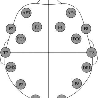 Placement of EEG electrodes. | Download Scientific Diagram