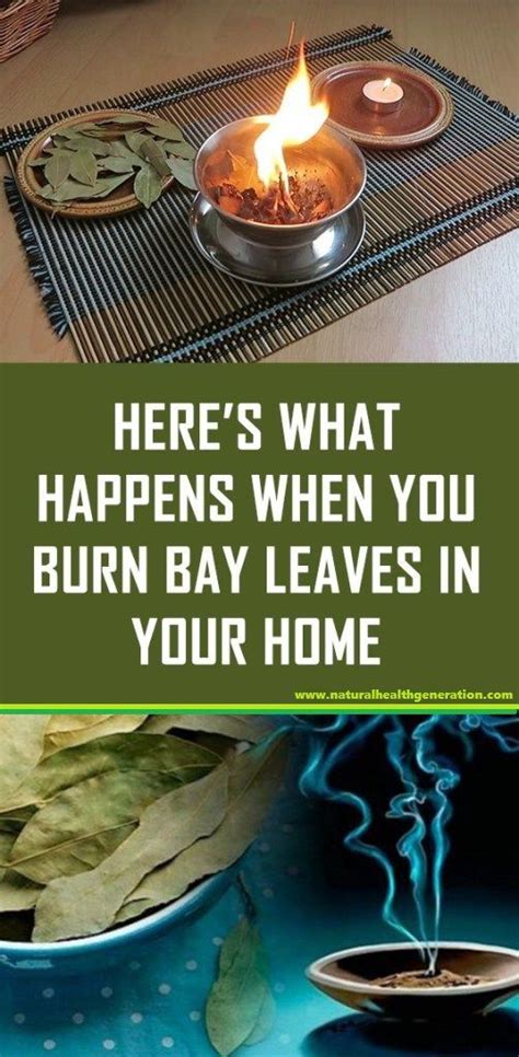 Here’s What Happens When You Burn Bay Leaves in Your Home | Burning bay ...