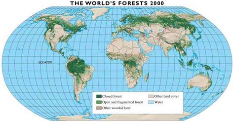 FRA 2000: GLOBAL FOREST COVER MAPPING FINAL REPORT