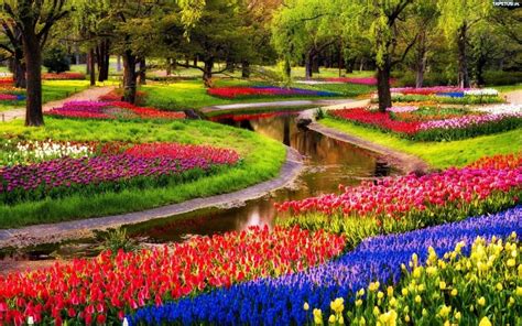 Vườn hoa Keukenhof tại Hà Lan