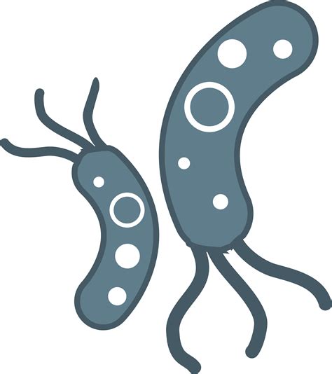 Bacteria PNG Transparent Images | PNG All