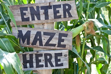 Over 60 Amazing Maize Mazes To Visit in 2023