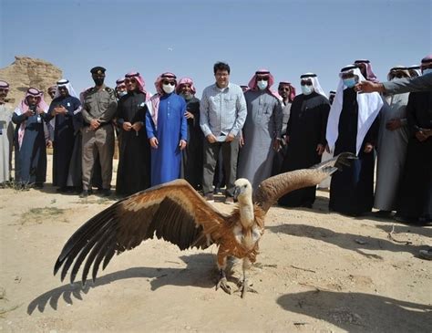 Saudi Wild Centre Releases 22 Endangered Animals Into Natural Reserve