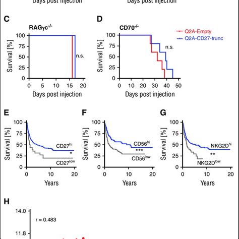 CD27 expression on lymphoma cells prolongs survival. (A-D) Kaplan-Meier ...