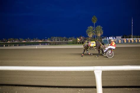 Cal Expo Harness Racing - Cal Expo & State Fair