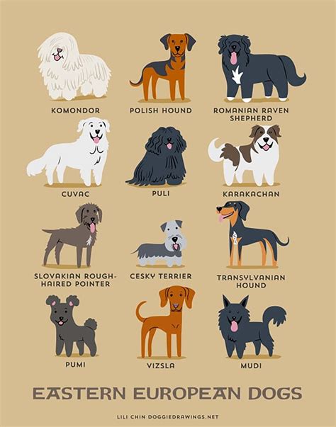 These Illustrations Show The Origins Of Dog Breeds In The Cutest Way ...