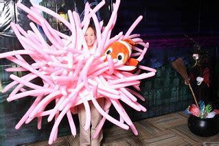 My 2008 Halloween Costume | I was a sea anemone with clownfi… | Flickr