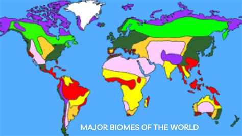 What are the Major Biomes of the World? - Let's Learn