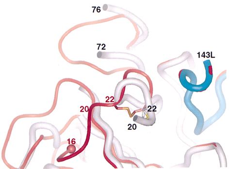 The Factor VII Zymogen Structure Reveals Reregistration of β Strands during Activation: Structure