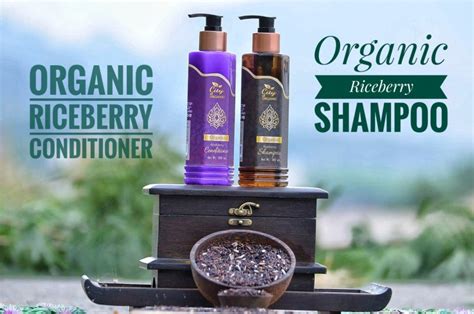 Organic Shampoo-Conditioner