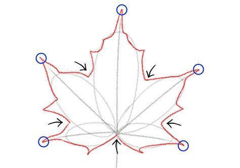 How to Draw a Maple Leaf | Design School