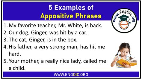 5 Examples of Appositive Phrases - EngDic