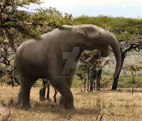 Deinotherium - Facts and Pictures