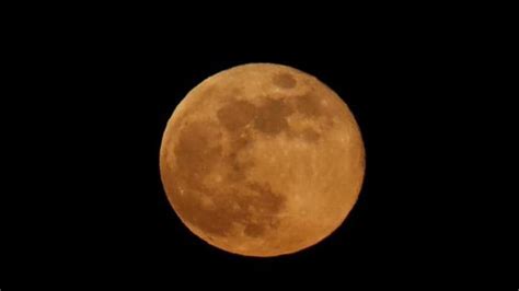 Supermoon 2023: ‘Sturgeon moon’ visible today. What is it? – Hindustan Times- - MANYPINS