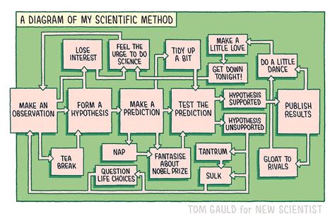 Tom Gauld's diagram of the scientific method | New Scientist