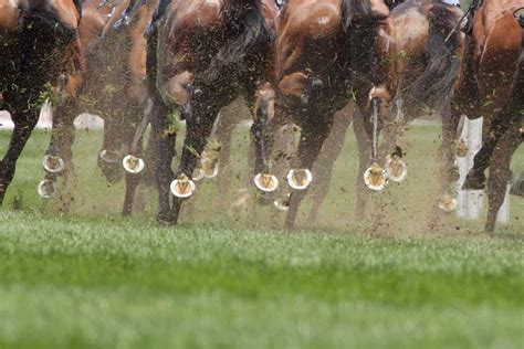 Calls for Australia to follow Singapore's historic decision on horse racing