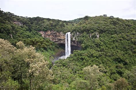 HD wallpaper: Waterfalls, Caracol Falls, Brazil, Forest, Nature ...