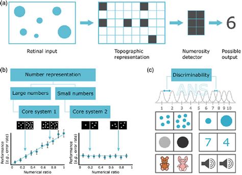 Main theories in numerical cognition (based on Leibovich et al. 2016a).... | Download Scientific ...