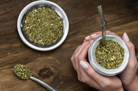 Best Yerba Mate in 2024: Reviews and Ultimate Guide