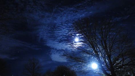 Moonlight vs Streetlight by A-Separate-Reality on DeviantArt